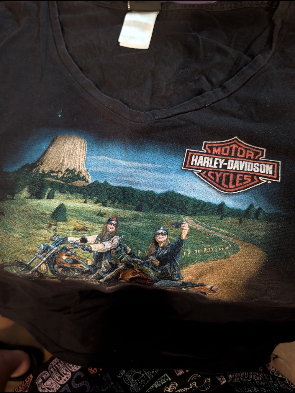 Harley-Davidson Black Graphic Tee with Scenic Motorcycle Print